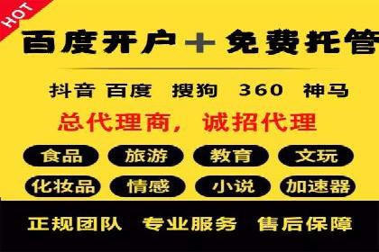 百度竞价推广案例：行业领军者成长故事